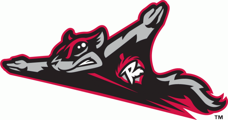 Richmond Flying Squirrels 2010-Pres Primary Logo iron on transfers for T-shirts